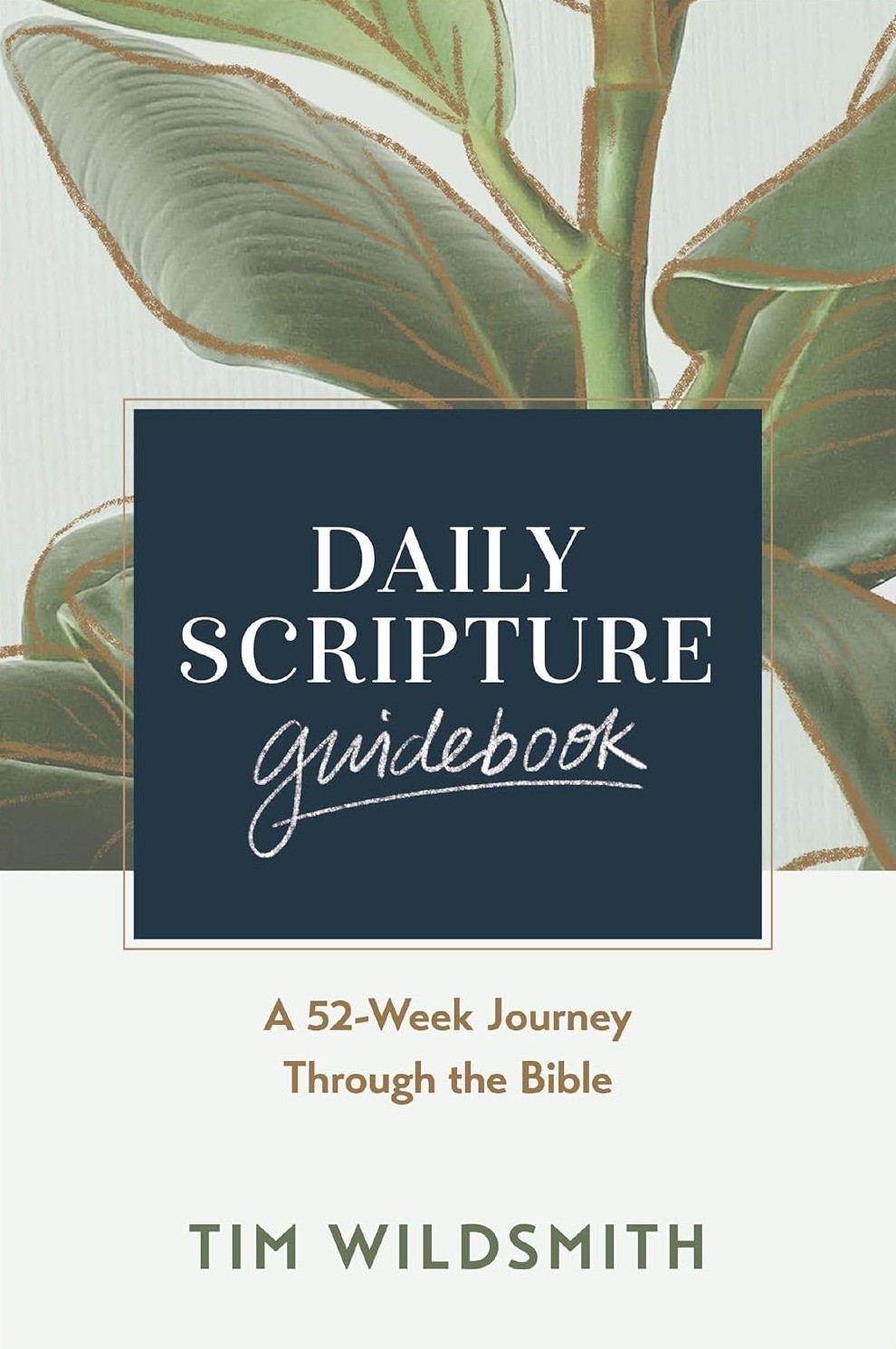 Daily Scripture Guidebook cover